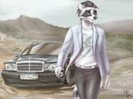  2016 5_fingers allatir anthro black_fur black_hair black_nose car clothed clothing day detailed_background fur hair male mammal raccoon sky smile solo standing vehicle white_fur yellow_eyes 