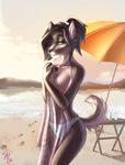  2016 5_fingers allatir anthro bare_shoulders black_nose blue_eyes breasts brown_hair canine clothed clothing day detailed_background dog eyebrows eyelashes female fur hair looking_at_viewer mammal outside panties sky smile solo standing topless underwear 
