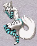  5_fingers anthro arm_warmers black_nose blue_eyes canine clothed clothing digitigrade dog fluffy fluffy_tail fur girly hair inner_ear_fluff lying male mammal slim ticl topless white_fur white_hair 