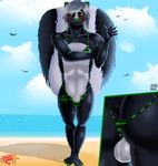  :d anthro arthropod avian balls beach big_butt biohazard_symbol bird black_fur blush butt claws close-up clothed clothing cloud crab crossdressing crustacean crying detailed_background fur girly grave green_claws green_eyes hair ineffective_clothing looking_away male mammal marine pax_bax penis penis_in_panties public sand sea seaside short_hair shy signature skimpy skunk skunk_bunk sky standing tears text water waving white_fur white_hair white_penis 