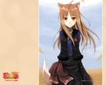  animal_ears blush brown_hair holo long_hair red_eyes solo spice_and_wolf tail wallpaper wheat wolf_ears 