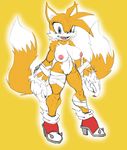  2016 anthro areola big_breasts breasts canine crossgender erect_nipples female fox hi_res huge_breasts mammal miles_prower nipples nude pussy slashysmiley solo sonic_(series) soulteam werefox 
