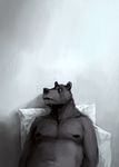  2015 anthro bear belly black_fur black_nipples black_nose depression digital_media_(artwork) digital_painting_(artwork) front_view fur looking_up male mammal nipples nude pillow restricted_palette sad slightly_chubby solo strange-fox 