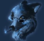  anthro canine cigarette eyewear looking_at_viewer male mammal orange_eyes portrait simple_background smoking solo sprinkah sunglasses wolf 