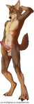  abs alpha_channel animal_genitalia animal_penis anthro armpits balls canine canine_penis cerbrus digital_drawing_(artwork) digital_media_(artwork) dog erection front_view fur hi_res knot male mammal nude pecs penis red_wolf simple_background smile solo transparent_background wolf wolgram 