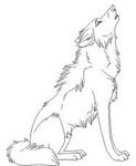  ambiguous_gender canine gardivor123 mammal monochrome photo traditional_media_(artwork) wolf 