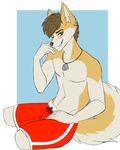  anthro board_shorts canine clothed clothing dog_tags kammymau looking_at_viewer male mammal simple_background smile solo topless 