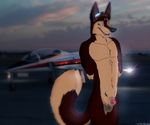  aircraft airplane animal_genitalia anthro bandit(holidaypup) canine dingo dog holidaypup jet looking_at_viewer mammal penis runway sheath swiss_shepherd twilight 