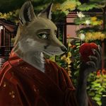  apple canine clothing female food fox fruit japan japanese_clothing kimono mammal swish 