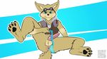  canine erection fennec fox greent1mmy knot looking_at_viewer male mammal paladins penis pip potion presenting qr_code spread_legs spreading 
