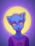  anthro black_fur cat clothed clothing feline female frown full_moon fur hair looking_at_viewer low_res mae_(nitw) mammal moon multicolored_hair night night_in_the_woods notched_ear pink_hair portrait siraviena solo two_tone_hair yellow_sclera 