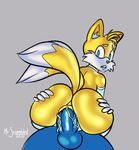  anal anal_penetration anthro arm_warmers balls butt canine clothing erection fox hedgehog leg_warmers legwear male male/male mammal miles_prower multi_tail nude penetration penis sex sonic_(series) sonic_the_hedgehog 