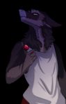  anthro clothing male masmas sergal 