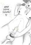  balls candy canine fluffy fluffy_tail food fox lollipop lolly_the_fox lollyfox mammal nude penis piercing sprinkles 