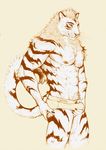  abs biceps bulge clothing feline fur_markings grope hair male mammal markings muscular muscular_male pockyrumz simple_background solo tiger underwear whiskers 