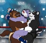  bear_hug canine dog grin husky jobber loop_the_jobber_dog mammal muscular mustelid ring sandwich_(disambiguation) screaming sebastian_king wolverine wrestling yelp 