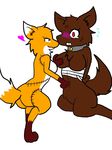  anthro belly blush breasts brown_fur canine female fox fur keigo kemono mammal navel navel_poke wolf 