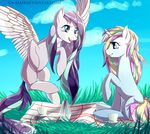  day duo equine fan_character feathers female feral flying grass hair hooves horn ka-samy mammal my_little_pony nude open_mouth outside pale_eyes pegasus picnic pink_eyes purple_eyes purple_hair sitting sky smile teeth unicorn white_feathers wings 