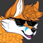  blue_eyes canine eyewear felix_silverclaw feral fox fur male mammal orange_fur oreo_the_fox sunglasses white_fur 