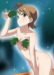  between_legs breasts brown_hair cleavage collarbone eyebrows eyebrows_visible_through_hair futami_ami grin groin hand_between_legs idolmaster idolmaster_(classic) leaf nude one_side_up short_hair small_breasts smile solo star tokiani 