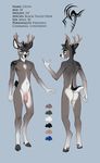  antlers balls bare_back black_nose blue_eyes cervine deer demicoeur eyelashes fur grey_fur hooves horn male mammal model_sheet navel nude penis simple_background solo standing 