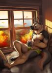  2018 4_toes anthro barefoot canid canine canis claws clothed clothing dog fur german_shepherd male mammal silvixen solo toe_claws toes topless underwear window 