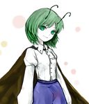  antennae black_cape blue_pants cape closed_mouth commentary cowboy_shot dress_shirt green_eyes green_hair highres juliet_sleeves long_sleeves looking_at_viewer looking_to_the_side pale_skin pants puffy_long_sleeves puffy_sleeves shirt smile solo touhou white_shirt wriggle_nightbug yutapon 