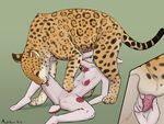  69_position anthro anthro_on_feral balls barbed_penis bestiality cheetah erection feline female female_on_feral feral handjob lagomorph male mammal mushbun mushbun_(character) nude oral penis pussy pussy_juice rabbit sex spread_legs spreading 