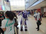  canine convention fursuit mammal photo wolf 