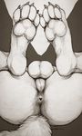  4_toes abstract_background anus balls canine claws ecmajor greyscale hindpaw male mammal monochrome pawpads paws solo toe_claws toes 