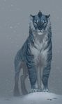  blue_fur blue_nose claws feline feral fur lhuneart looking_at_viewer mammal nude outside paws snow snowing solo standing striped_fur stripes tiger yellow_eyes 