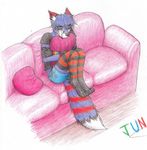 blue_fur canine clothing fox fur jun_rasenfox legwear male mammal solo tagme thigh_highs 