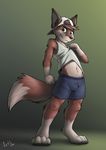  4_toes 5_fingers boxers_(clothing) brown_hair bulge canine clothed clothing clothing_lift cub fox green_eyes hair hat iztli male mammal shirt shirt_lift simple_background solo tank_top toes underwear young 