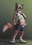  4_toes 5_fingers balls boxers_(clothing) brown_hair canine clothed clothing clothing_lift cub erection fox green_eyes hair hat humanoid_penis iztli male mammal penis shirt shirt_lift simple_background solo tank_top toes underwear young 