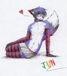  arm_wamers canine collar fox high_thing jun_rasenfox male mammal solo tagme traditional_media_(artwork) 