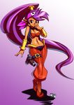  arabian_clothes bandana breasts cleavage gun handgun holster jadenkaiba long_hair looking_at_viewer medium_breasts midriff navel pointy_ears ponytail purple_hair shantae_(character) shantae_(series) shantae_and_the_pirate's_curse skull solo stomach weapon 