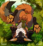 anus balls butt camera canid canine feral fin_the_fox fox genitals hi_res knot male mammal pawpads paws pawzzhky raised_paw raised_tail solo spread_anus spreading tail tongue