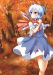  autumn_leaves blue_eyes blue_hair blush bow cirno dress dress_shirt hair_bow highres ice ice_wings leaf looking_away looking_up maple_leaf nogiguchi outdoors puffy_short_sleeves puffy_sleeves scarf shirt short_hair short_sleeves smile solo touhou tree wings 