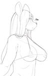  anthro big_breasts bra breasts canine clothed clothing female kemono mammal simple_background sindoll skimpy solo underwear 
