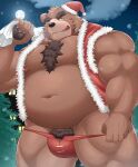 2023 anthro barely_visible_genitalia barely_visible_penis bear belly brown_body bulge christmas christmas_clothing christmas_headwear clothing detailed_background genitals hat headgear headwear hi_res holidays kemono male mammal moobs moon navel night nipples nisikemo outside overweight overweight_male penis plant pubes santa_hat solo tree underwear