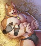  2016 abs ambiguous_fluids anthro bell belly biceps big_biceps big_muscles black_nose breast_milking brown_eyes bulge canine clothing dog fur hay hi_res high-angle_view jockstrap lactating lying male mammal milk muscular muscular_male nipples one_eye_closed open_mouth pecs pubes raccoon21 relaxing rope simple_background solo tan_fur teeth thumbs_up tongue tongue_out underwear 