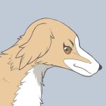 2016 ambiguous_gender black_nose brown_eyes bust_portrait canid canine canis domestic_dog feral floppy_ears fur ginga_(series) grey_background icon mammal portrait rocket_(ginga) side_view simple_background smile solo temitess white_body white_fur yellow_body yellow_fur