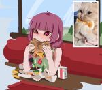  1girl blunt_bangs blush bocchi_the_rock! burger cat commentary eating english_commentary fangs food highres hiroi_kikuri kurokimoko long_hair nose_blush photo-referenced purple_eyes purple_hair reference_inset sitting solo 