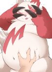 anthro belly belly_grab blep blush covering covering_face crotch_tuft duo fupa fur generation_3_pokemon hi_res human male mammal navel nintendo overweight pink_eyes pokemon pokemon_(species) shirokumaou tongue tongue_out tuft white_body white_fur zangoose