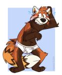 ailurid anthro barefoot black_nose blue_background blush bodily_fluids border briefs briefs_only brown_body brown_fur claws clothed clothing detailed_background feet fur hand_on_head hi_res male mammal markings mushketeery orange_body orange_fur pawpads pink_pawpads red_body red_fur red_panda signature simple_background smile solo striped_markings stripes sweat tighty_whities topless underwear underwear_only whiskers white_background white_body white_border white_briefs white_clothing white_fur white_underwear