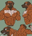 abs anthro back_muscles biceps bodily_fluids canid canine canis domestic_dog emoster flexing male mammal mastiff molosser muscular muscular_male pecs scar solo sweat vein veiny_muscles