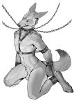 animal_genitalia anthro balls bdsm bound canid canine canis chain collar coyote cuffs_(clothing) genital_piercing genitals harness hi_res kojote male mammal nude penis penis_piercing piercing prince_albert_piercing sheath silgiriya_mantsugosi solo