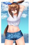 1girl absurdres admire_vega_(umamusume) animal_ears arms_up blue_shorts blue_sky border breasts brown_hair closed_mouth cloud cloudy_sky commentary_request ear_covers gaze_on_me!_outfit_(umamusume) hair_between_eyes highres horse_ears horse_girl horse_tail long_hair m172/minatsu medium_breasts midriff navel outdoors outside_border ponytail purple_eyes short_sleeves shorts single_ear_cover sky smile solo stretching tail umamusume white_border 