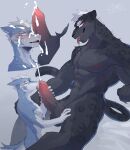 5_fingers abs absurd_res anthro barazoku biceps big_penis black_body black_fur blue_body blue_fur bodily_fluids canid canine canis countershade_fur countershading cum cum_on_face cumshot cyanusowo dominant dominant_anthro dominant_male duo ejaculation felid fingers fur genital_fluids genitals hi_res leopard licking male male/male mammal muscular muscular_anthro muscular_dom muscular_male nipples oral pantherine pecs penile penis penis_lick pink_nipples sex size_difference slim_anthro slim_male slim_sub submissive submissive_anthro submissive_male sweat sweatdrop tongue tongue_out unusual_anatomy unusual_genitalia unusual_penis white_body white_countershading white_head_tuft wolf