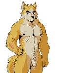 anthro canid canine cooper_krager genitals humanoid humanoid_genitalia male mammal muscular muscular_male pecs remember_the_flowers solo visual_novel